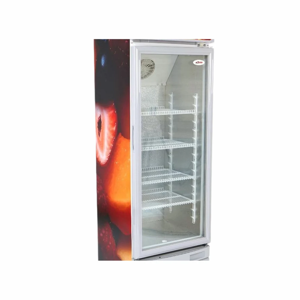 RÉFRIGÉRATEUR ASTECH VITRINE 1 PORTE 274LITRES